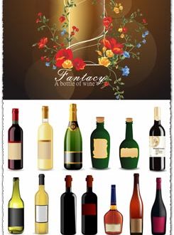 Types of bottles eps vectors