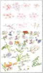 Vector hand-drawn sketches of spring flowers