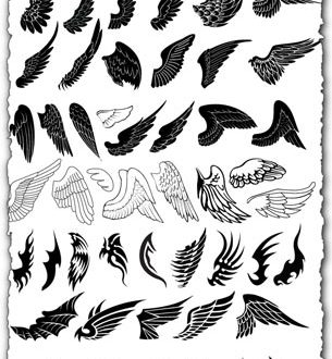 Wings design in vector format