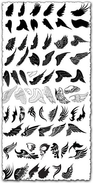 Wings design in vector format