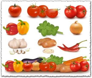 Vegetables collection vector