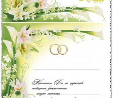 Wedding invitation cards vector