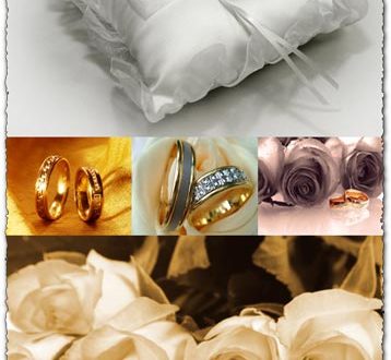 Wedding rings stock images