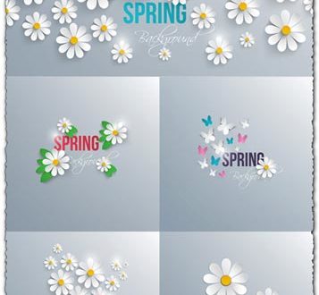 White daisies vectors