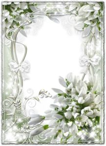 White transparent wedding frame with snowdrops