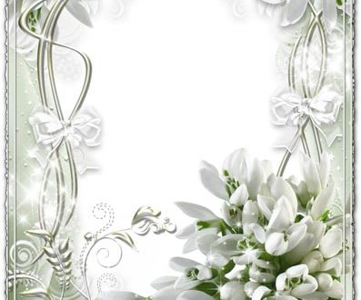 White transparent wedding frame with snowdrops