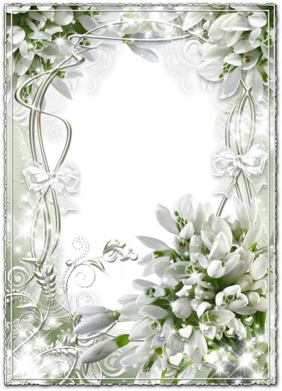 White transparent wedding frame with snowdrops