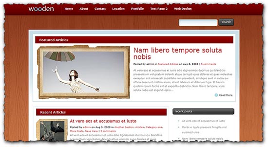 Wooden elegantthemes wordpress template