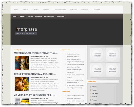 WordPress theme InterPhase Elegantthemes template