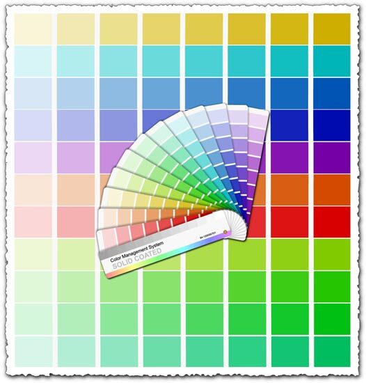 CMYK Pantone palette vector