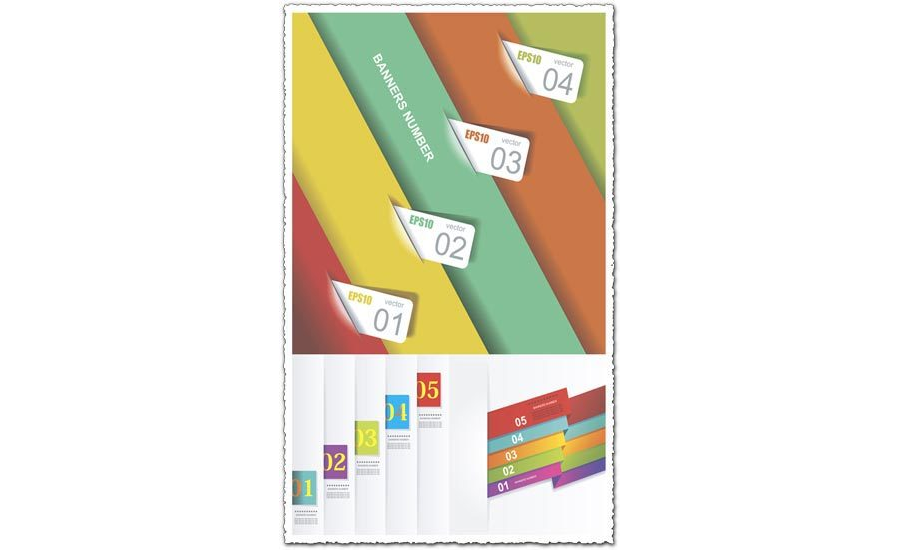 Labels and tags infographics vector