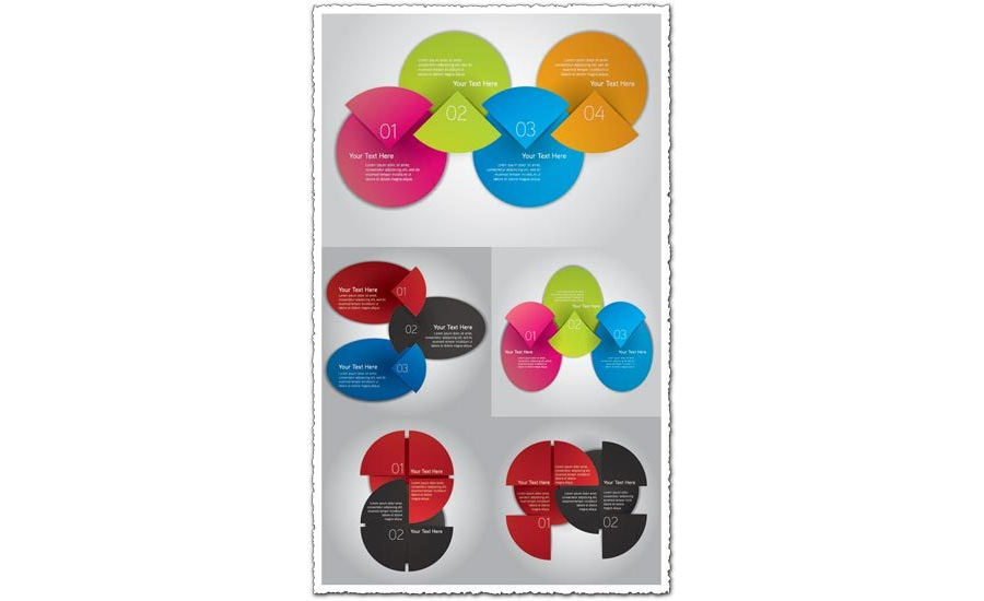 Infographics pie chart label vector